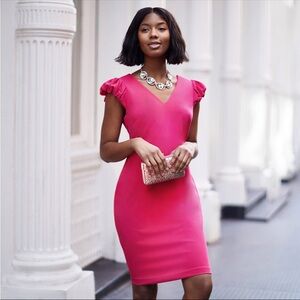 Elegant Pink Ruffle Sleeve Dress 4 NWT